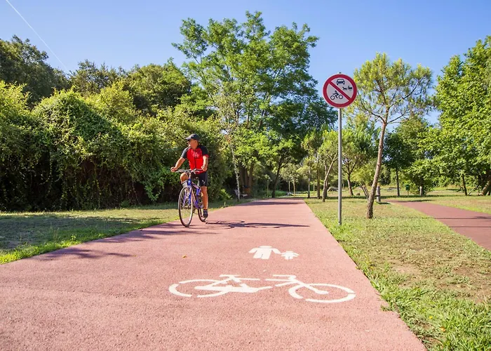 Casa Da Muralha Cerveira * Vila Nova de Cerveira